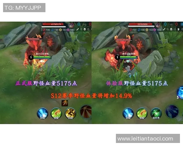 WE战队个人能力的提升与王者荣耀的未来发展探讨